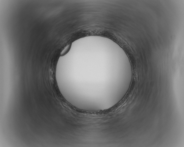 X0000113181010200909040949