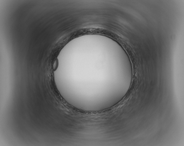 X0000113181014200909040949