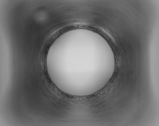 X0000113181015200909040949