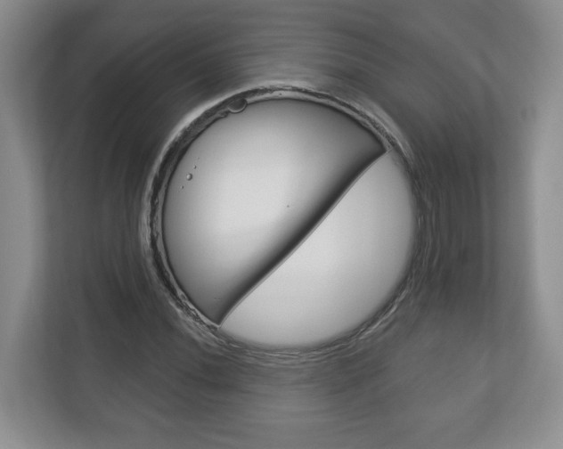 X0000113181020200909040950
