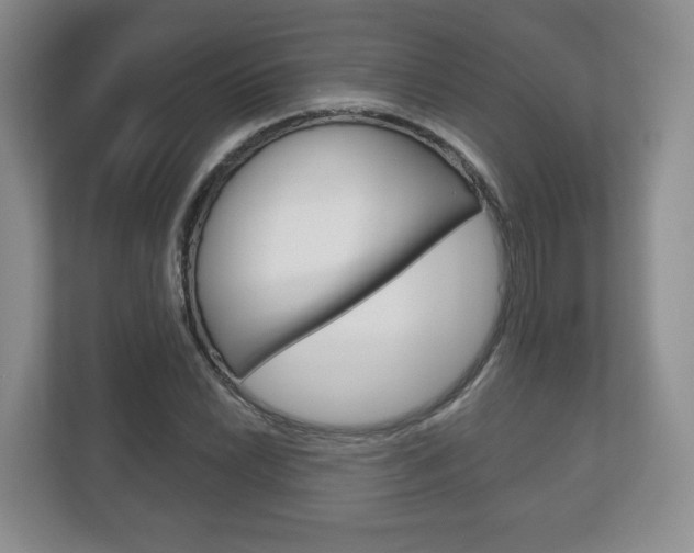 X0000113181022200909040950
