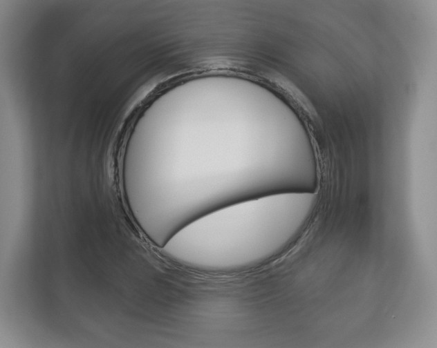 X0000113181023200909040950