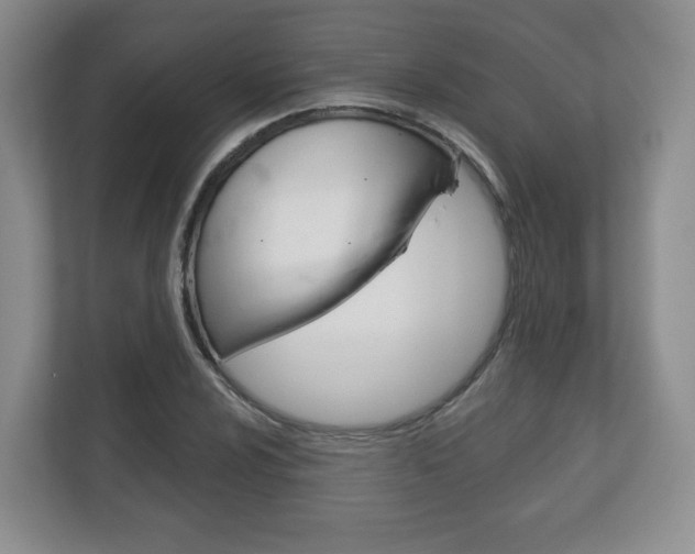 X0000113181024200909040950