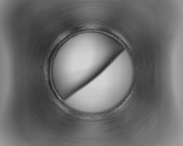X0000113181026200909040950