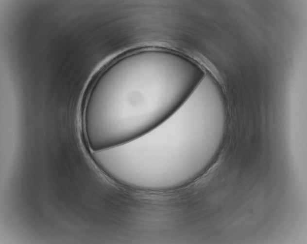 X0000113181028200909040950