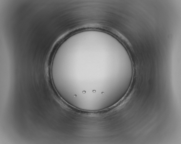 X0000113181029200909040950
