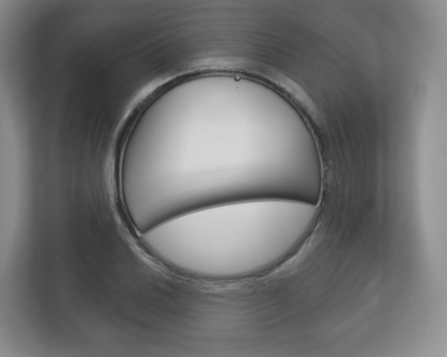 X0000113181030200909040950