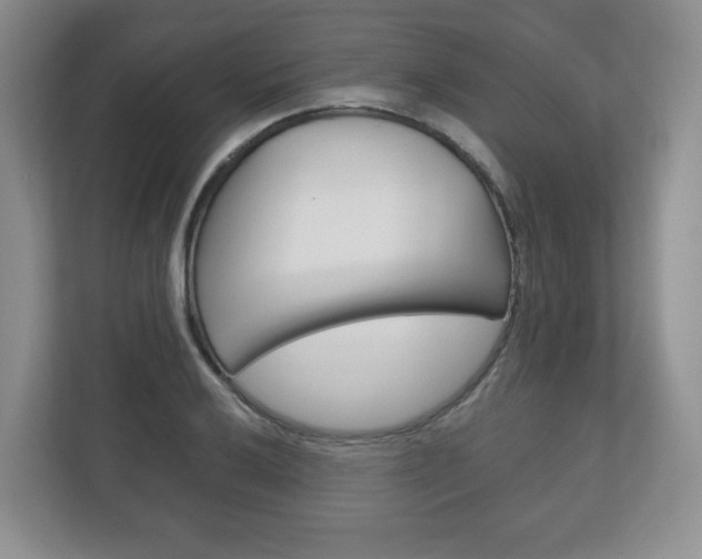 X0000113181032200909040950
