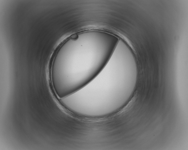 X0000113181034200909040950