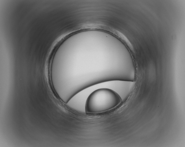 X0000113181035200909040950
