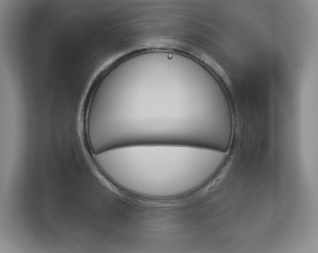 X0000113181037200909040950