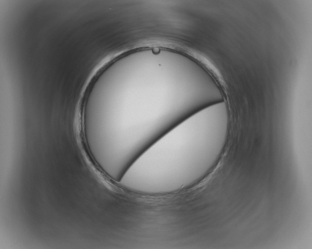 X0000113181040200909040950
