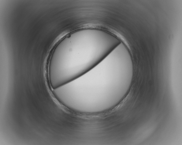 X0000113181042200909040950