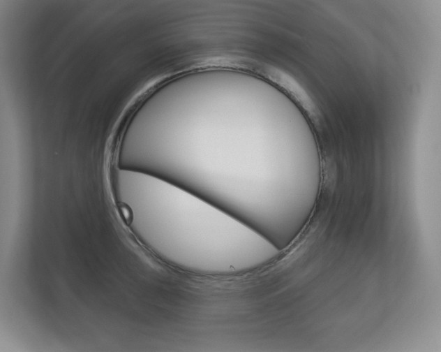 X0000113181043200909040950