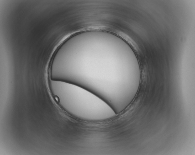X0000113181047200909040950