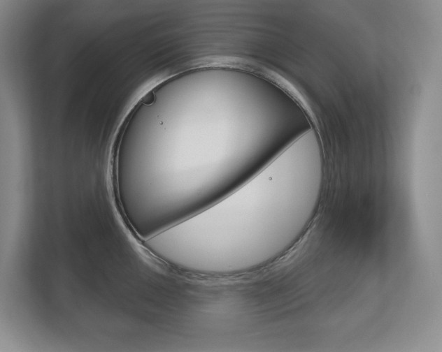 X0000113181050200909040950