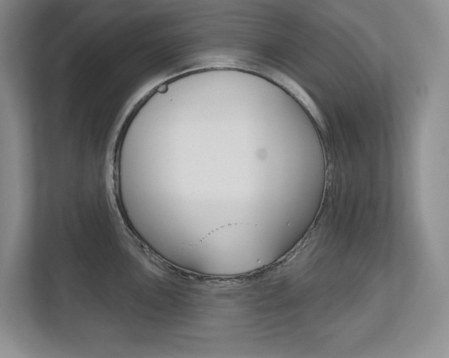 X0000113181051200909040950