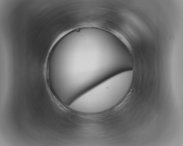 X0000113181052200909040950