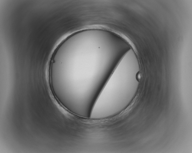 X0000113181054200909040950
