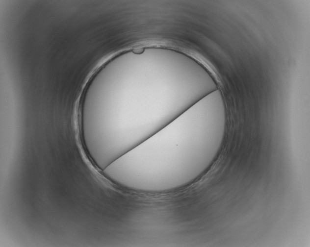 X0000113181055200909040950