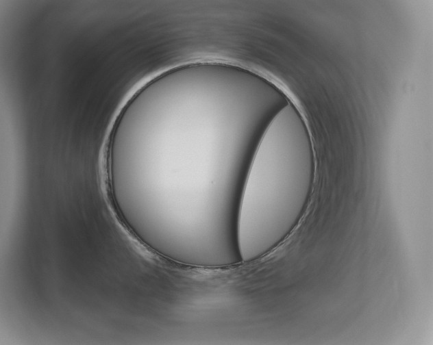 X0000113181056200909040950