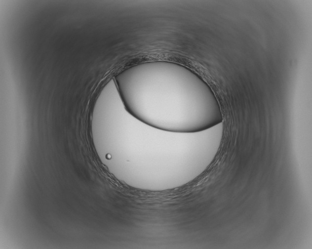 X0000113181057200909040949
