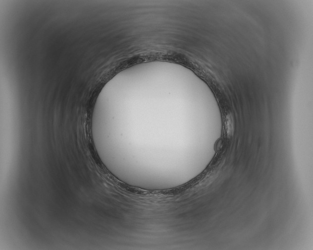 X0000113181059200909040949