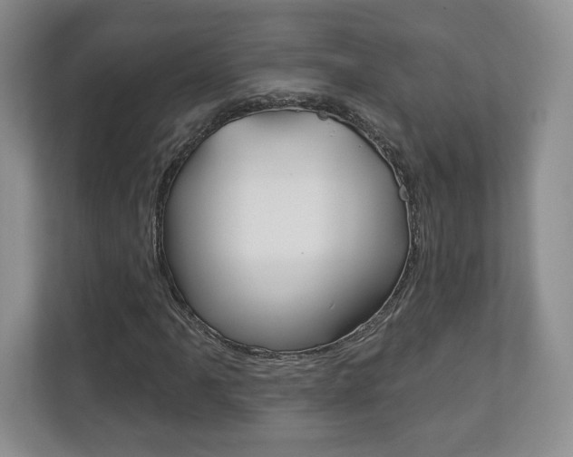 X0000113181061200909040949