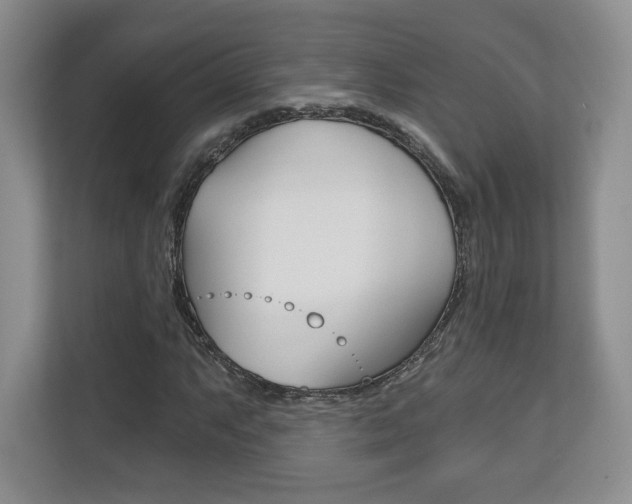 X0000113181063200909040949