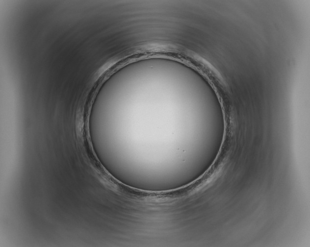 X0000113181065200909040949