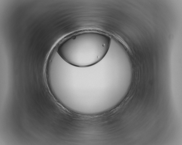 X0000113181068200909040949