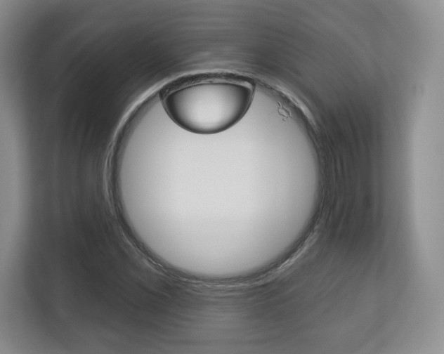 X0000113181069200909040949