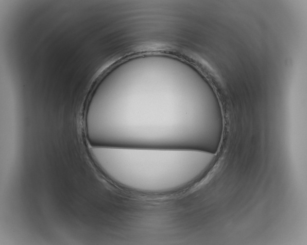 X0000113181073200909040949