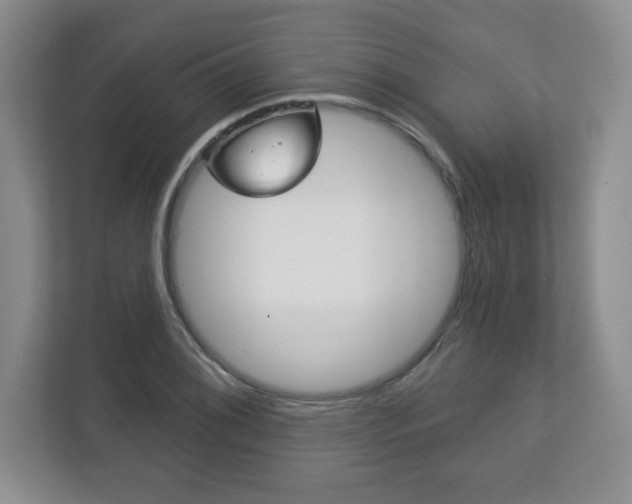 X0000113181076200909040949