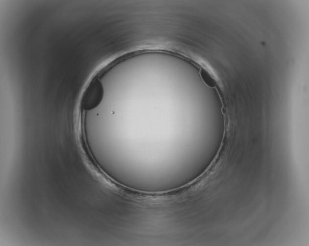 X0000113181080200909040949