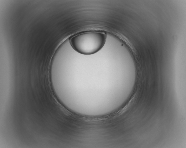 X0000113181081200909040949
