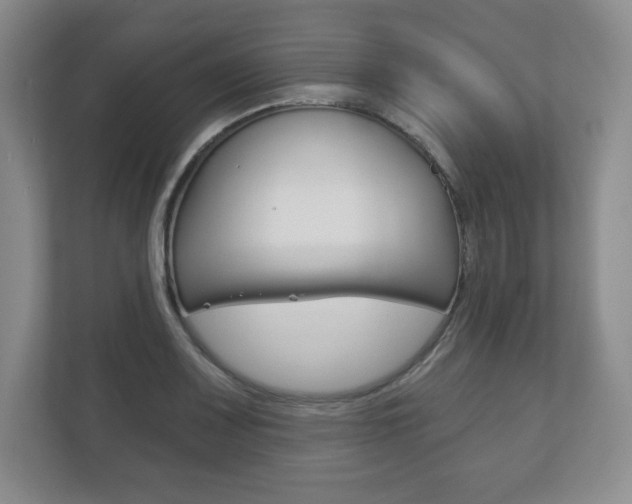 X0000113181083200909040949