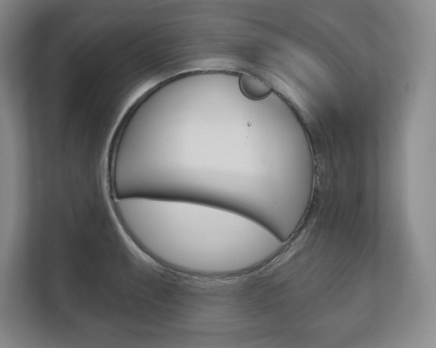 X0000113181087200909040949