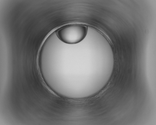 X0000113181092200909040949