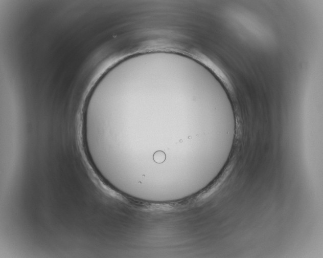 X0000113181094200909040949