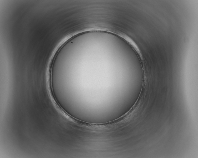 X0000113181096200909040949