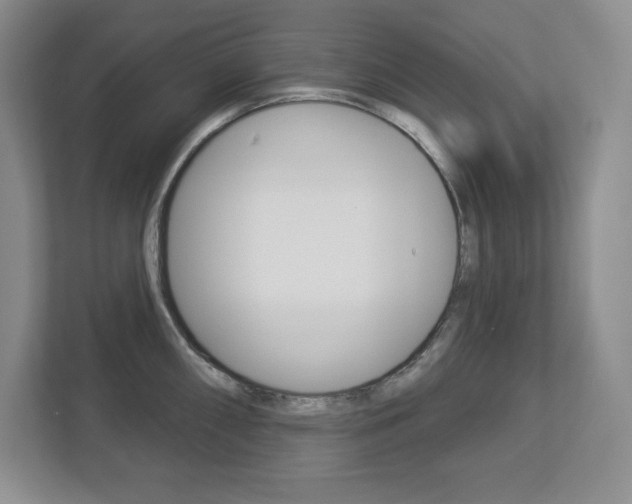 X0000113181098200909040949