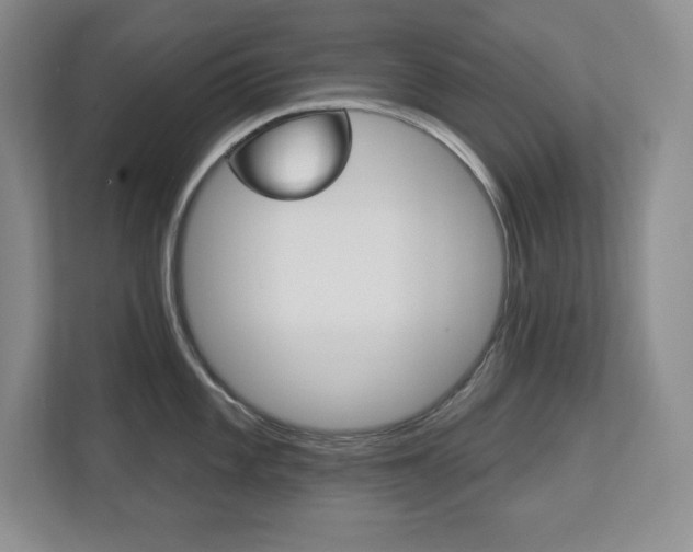 X0000113181101200909040949