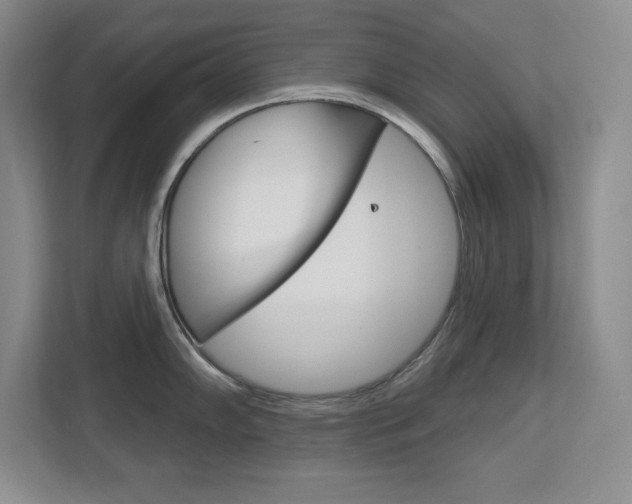 X0000113181102200909040949