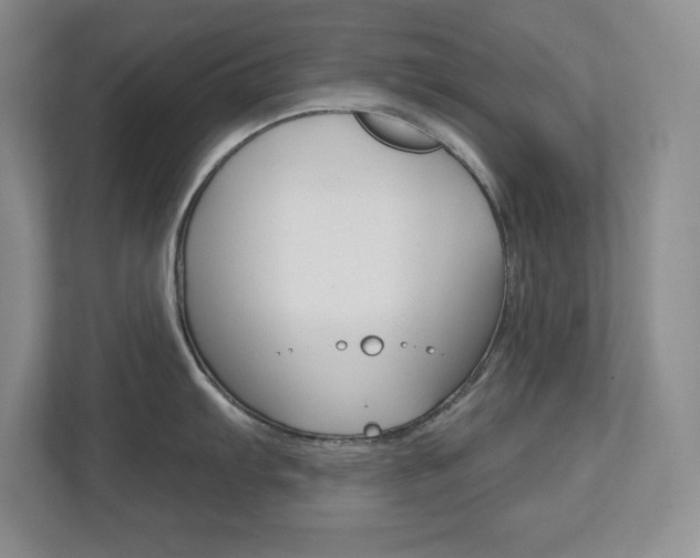X0000113181103200909040949