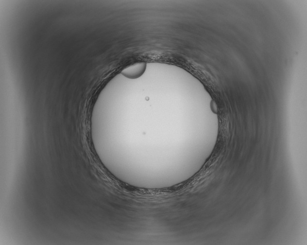 X0000113181105200909040948
