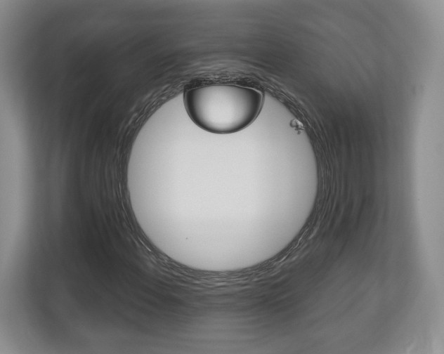 X0000113181108200909040948