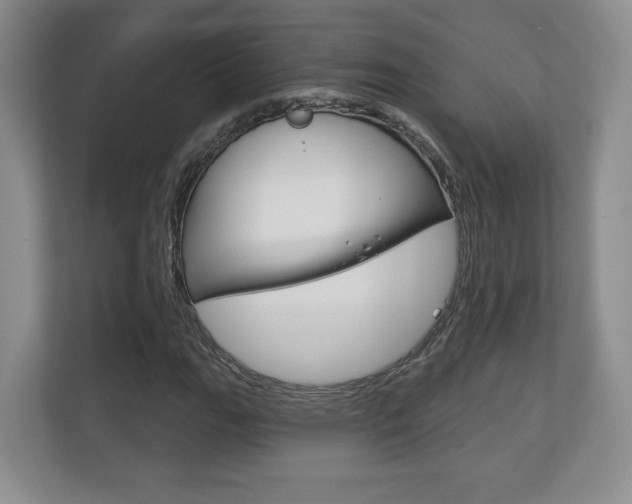 X0000113181111200909040948