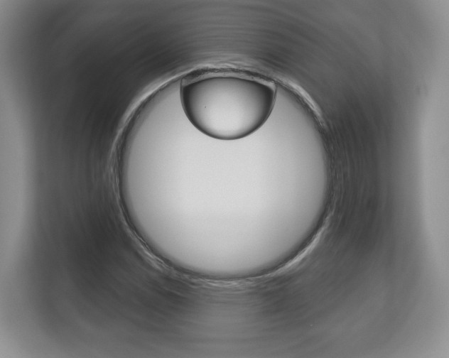 X0000113181114200909040948