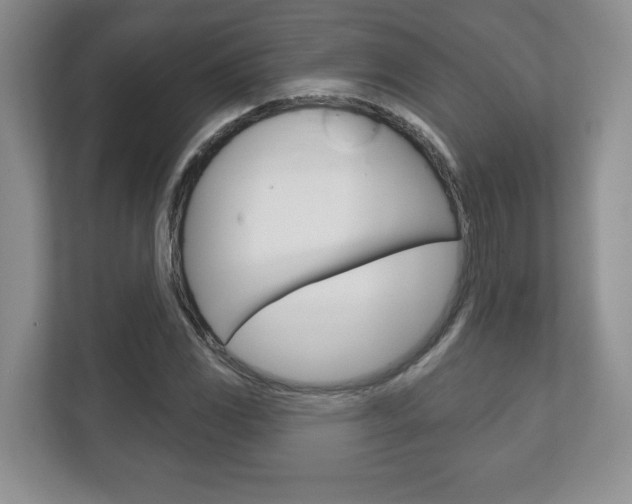 X0000113181117200909040948